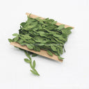 Handcrafted Silk Leaf-Shaped Greenery Wreath Kit - 10 Meter DIY Wedding Decoration Craft  ourlum.com   