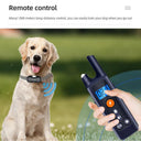 Waterproof Remote Dog Training Collar with LCD Display - 1000m Range  ourlum.com   