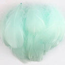 Whimsical Feather Assortment for Crafts and Decor - 100 Pieces  ourlum.com light blue green 4-8cm 100pcs 