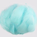 Whimsical Feather Assortment for Crafts and Decor - 100 Pieces  ourlum.com light blue 4-8cm 100pcs 