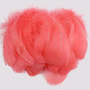 Whimsical Feather Assortment for Crafts and Decor - 100 Pieces  ourlum.com watermelon red 4-8cm 100pcs 