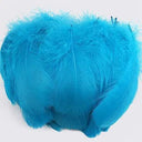 Whimsical Feather Assortment for Crafts and Decor - 100 Pieces  ourlum.com lake blue 4-8cm 100pcs 