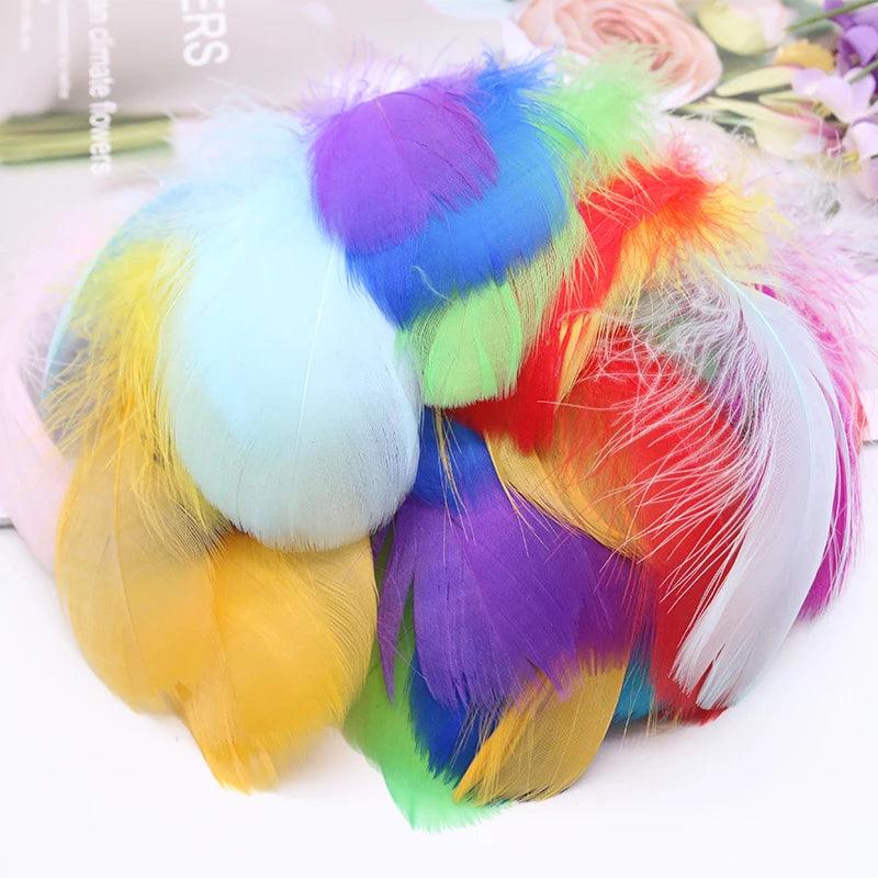 Whimsical Feather Assortment for Crafts and Decor - 100 Pieces  ourlum.com   