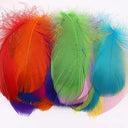 Whimsical Feather Assortment for Crafts and Decor - 100 Pieces  ourlum.com mix 4-8cm 100pcs 