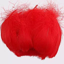 Whimsical Feather Assortment for Crafts and Decor - 100 Pieces  ourlum.com red 4-8cm 100pcs 