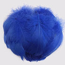 Whimsical Feather Assortment for Crafts and Decor - 100 Pieces  ourlum.com blue 4-8cm 100pcs 