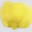 Whimsical Feather Assortment for Crafts and Decor - 100 Pieces  ourlum.com yellow 4-8cm 100pcs 