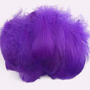 Whimsical Feather Assortment for Crafts and Decor - 100 Pieces  ourlum.com dark purple 4-8cm 100pcs 