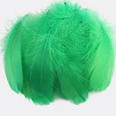 Whimsical Feather Assortment for Crafts and Decor - 100 Pieces  ourlum.com green 4-8cm 100pcs 