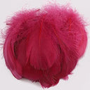 Whimsical Feather Assortment for Crafts and Decor - 100 Pieces  ourlum.com wine red 4-8cm 100pcs 