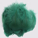 Whimsical Feather Assortment for Crafts and Decor - 100 Pieces  ourlum.com dark green 4-8cm 100pcs 