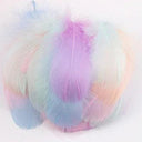 Whimsical Feather Assortment for Crafts and Decor - 100 Pieces  ourlum.com warm color 4-8cm 100pcs 