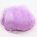 Whimsical Feather Assortment for Crafts and Decor - 100 Pieces  ourlum.com light purple 4-8cm 100pcs 