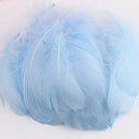 Whimsical Feather Assortment for Crafts and Decor - 100 Pieces  ourlum.com light sky blue 4-8cm 100pcs 