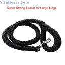 Army Green Double Row Nylon Dog Leash and Collar Set for Medium to Large Dogs  ourlum.com   