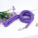 Army Green Double Row Nylon Dog Leash and Collar Set for Medium to Large Dogs  ourlum.com Purple Dia. 1.0cm 