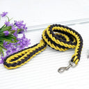 Army Green Double Row Nylon Dog Leash and Collar Set for Medium to Large Dogs  ourlum.com Yellow Brown Dia. 1.0cm 