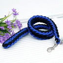 Army Green Double Row Nylon Dog Leash and Collar Set for Medium to Large Dogs  ourlum.com Blue Black Dia. 1.0cm 