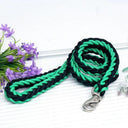 Army Green Double Row Nylon Dog Leash and Collar Set for Medium to Large Dogs  ourlum.com Green Black Dia. 1.0cm 