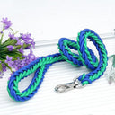 Army Green Double Row Nylon Dog Leash and Collar Set for Medium to Large Dogs  ourlum.com Green Blue Dia. 1.0cm 