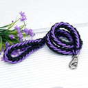 Army Green Double Row Nylon Dog Leash and Collar Set for Medium to Large Dogs  ourlum.com Purple Black Dia. 1.0cm 