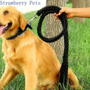 Army Green Double Row Nylon Dog Leash and Collar Set for Medium to Large Dogs  ourlum.com   