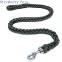 Army Green Double Row Nylon Dog Leash and Collar Set for Medium to Large Dogs  ourlum.com   