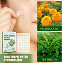 Overnight Acne Care Patches with Salicylic Acid and Tea Tree Oil  ourlum.com   