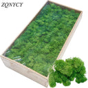 Eternal Green Moss Grass for Home Decor and DIY Crafts  ourlum.com   