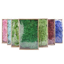 Eternal Green Moss Grass for Home Decor and DIY Crafts  ourlum.com   