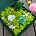 Eternal Green Moss Grass for Home Decor and DIY Crafts  ourlum.com   