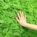 Eternal Green Moss Grass for Home Decor and DIY Crafts  ourlum.com   