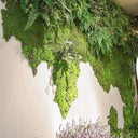 Eternal Green Moss Grass for Home Decor and DIY Crafts  ourlum.com   