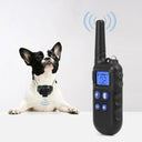 Advanced 2km Remote Dog Training Collar Set with Walkie-Talkie and Multi-Function Training Modes  ourlum.com   