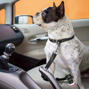 Dog Car Safety Belt Set with Elastic Bungee and Reflective Design  ourlum.com   