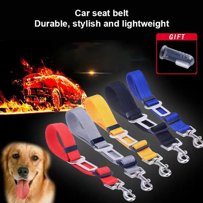 Pet Car Seat Belt Clip Retractable Leash - Safety Harness for Cats and Dogs  ourlum.com   