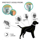 8 Month Flea and Tick Prevention Collar for Small Dogs and Cats - Adjustable and Long-lasting Tick Control  ourlum.com   