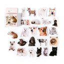 Whimsical Cat and Dog Sticker Set for Delightful Journaling