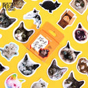 Whimsical Cat and Dog Sticker Set for Delightful Journaling