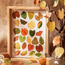 Kawaii Leaves Washi Tape Set - 50 Pcs Cute Self-adhesive Stickers for DIY Crafts  ourlum.com   