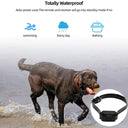 800m Waterproof Rechargeable Digital Dog Training Collar with LCD Display - Advanced Remote Control for Effective Training  ourlum.com   