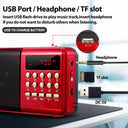 STONEGO Radio: Portable Handheld FM USB TF MP3 Player