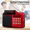 STONEGO Radio: Portable Handheld FM USB TF MP3 Player