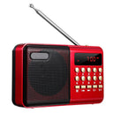 STONEGO Radio: Portable Handheld FM USB TF MP3 Player