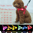 Luminous LED Dog Harness: Night Safety Nylon Collar & Light for Running  ourlum.com   