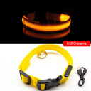 LED Dog Collar: High-Quality Fiber, Three Flash Modes, Visible Nylon  ourlum.com Yellow USB Charging XS  NECK 28-38 CM 