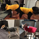 Reflective Dog Jacket: Keep Your Pet Cozy and Safe in Style  ourlum.com   