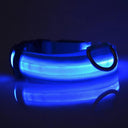 LED Glow Safety Dog Collar: Bright Night Light for Pets  ourlum.com   