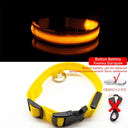 LED Dog Collar: High-Quality Fiber, Three Flash Modes, Visible Nylon  ourlum.com Yellow ButtonBattery XS  NECK 28-38 CM 