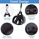 Breathable Cat Harness & Leash Set for Safe Outdoor Adventures